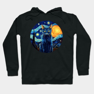 Kitty Cat, van gogh style, starry night, Post-impressionism Hoodie